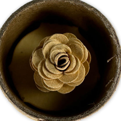 RAW PreRolled Rose Tip